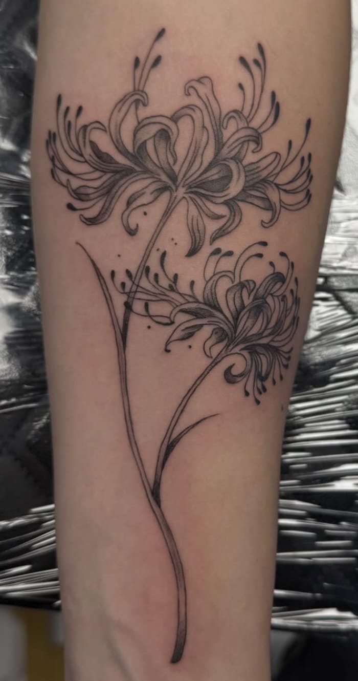 BECOME A TATTOO ARTIST - Minneapolis
